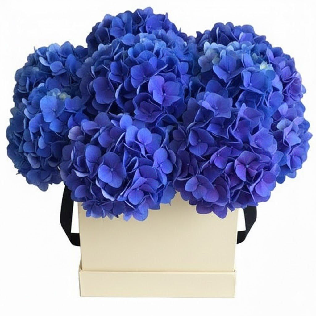 Classic Box of Hydrangea - Florist London