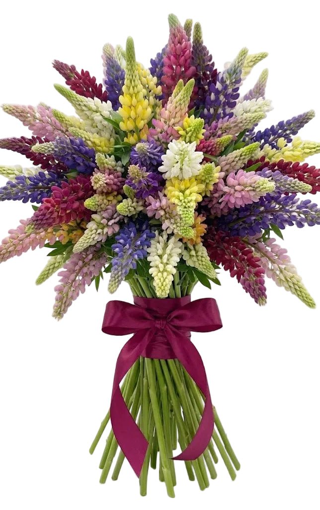 Classic Colored Lupinus Bouquet - Florist London