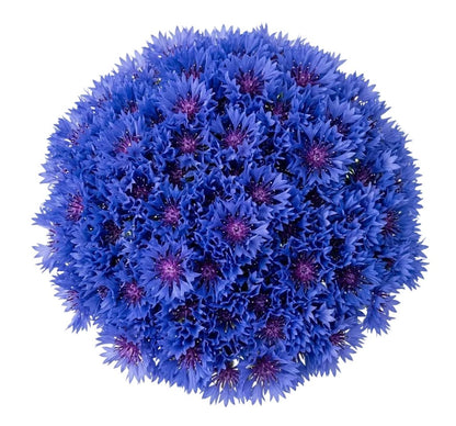 Classic Cornflower Bouquet - Florist London