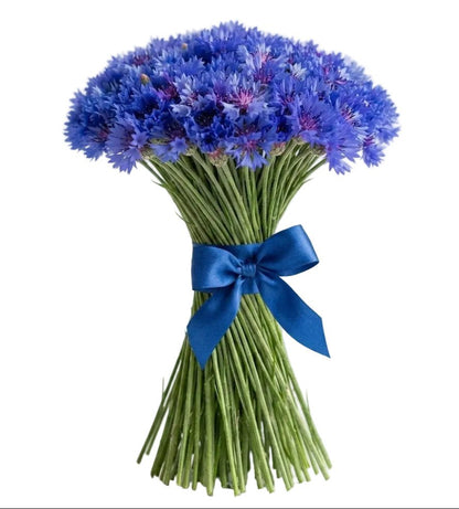 Classic Cornflower Bouquet - Florist London