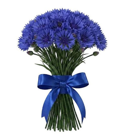 Classic Cornflower Bouquet - Florist London