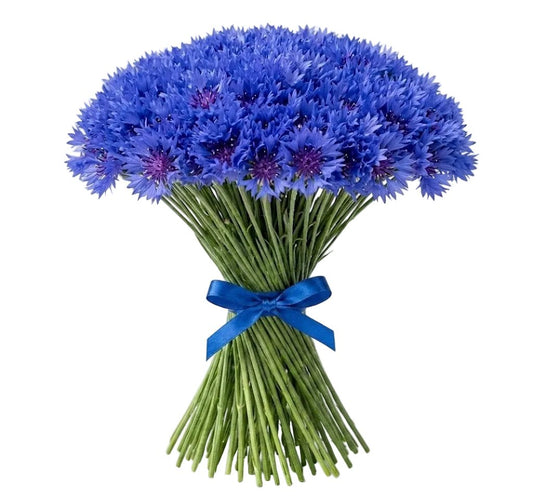 Classic Cornflower Bouquet - Florist London