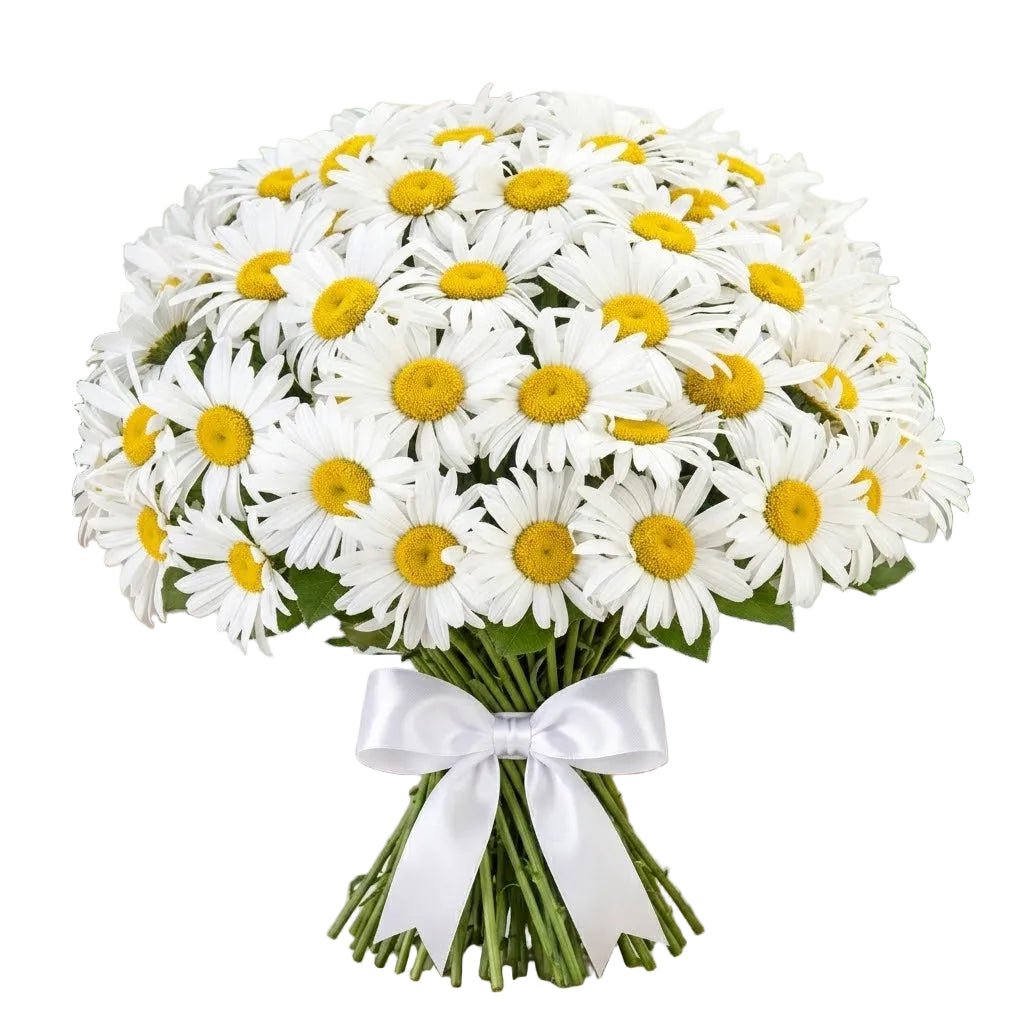 Classic Daisy Bouquet - Florist London
