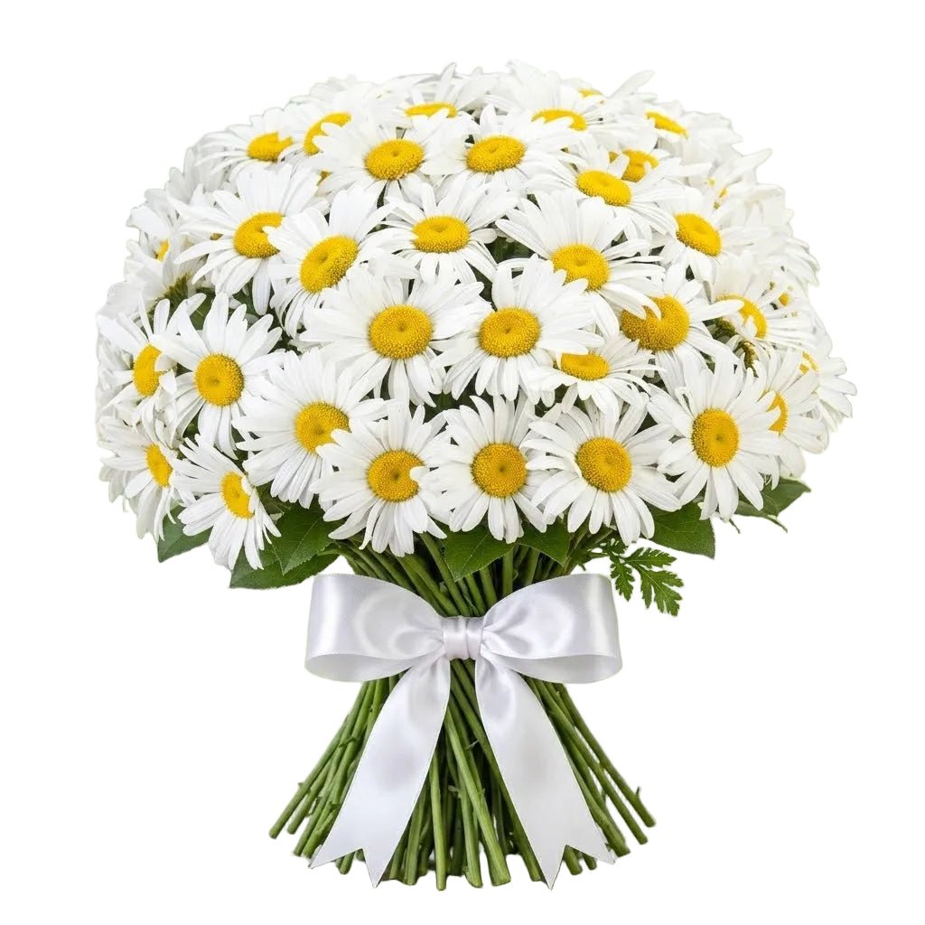 Classic Daisy Bouquet - Florist London