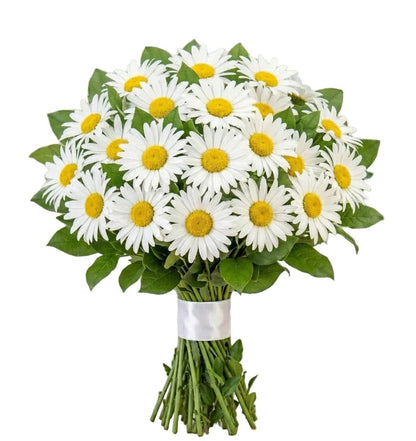 Classic Daisy Bouquet - Florist London