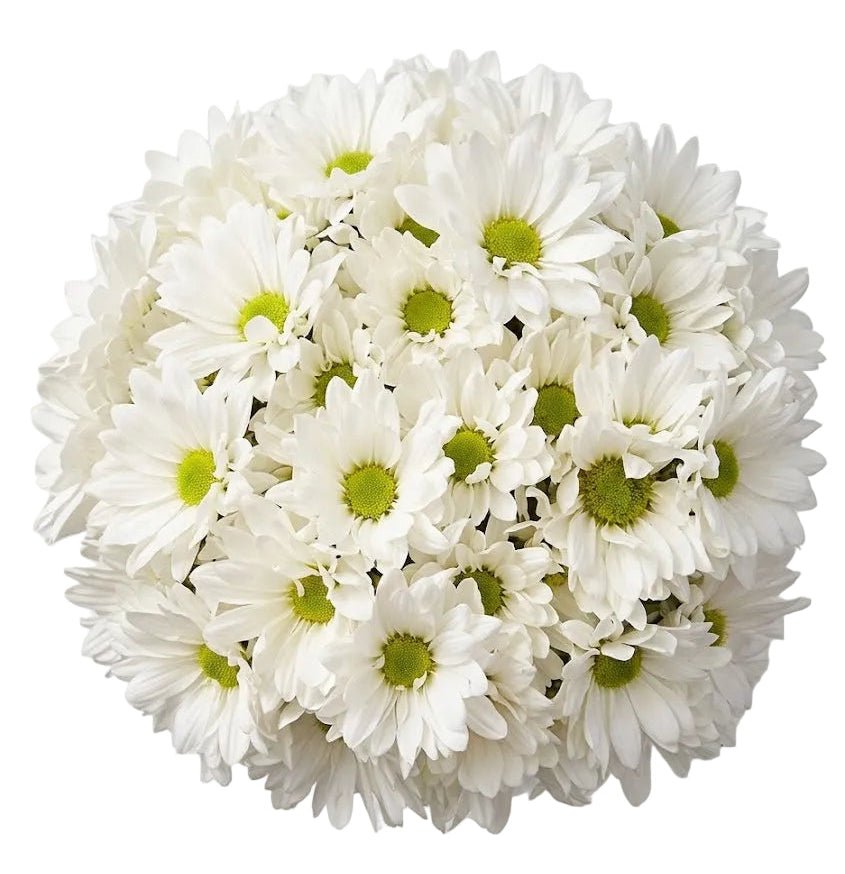Classic Daisy Wedding Bouquet - Florist London