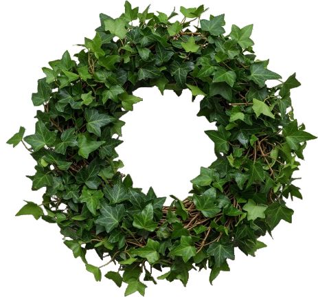 Classic English Ivy Door Wreath