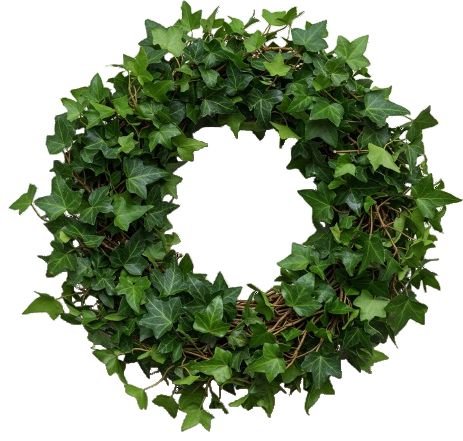 Classic English Ivy Door Wreath - Florist London