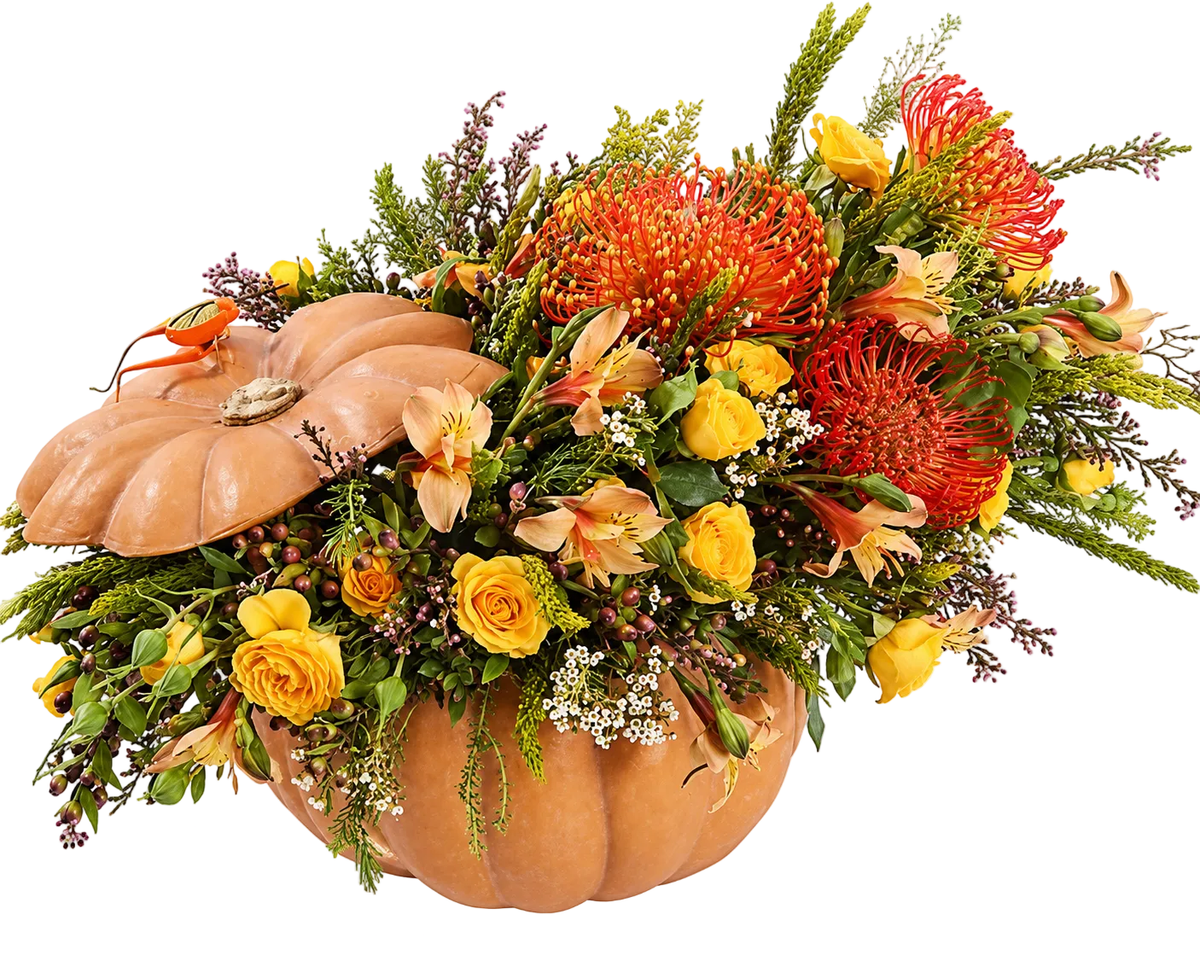 Classic Exotic Pumpkin Arrangement - Florist London