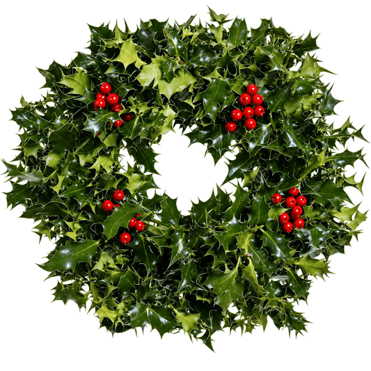Classic Holly Wreath - Florist London