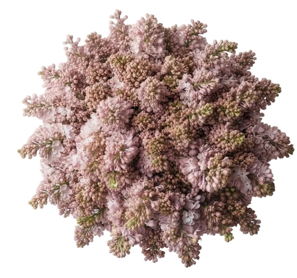 Classic Lilac Bouquet - Florist London