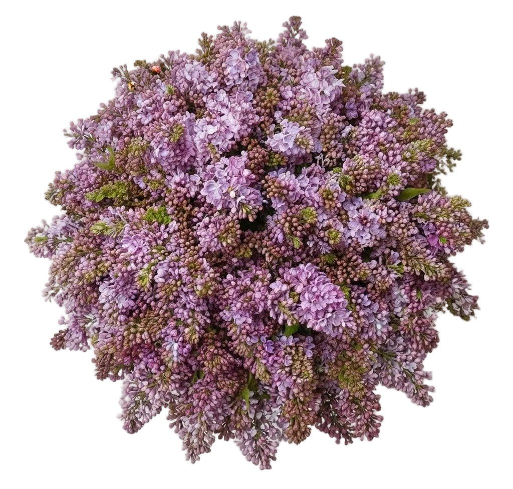 Classic Lilac Bouquet - Florist London