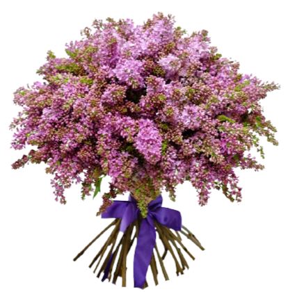 Classic Lilac Bouquet