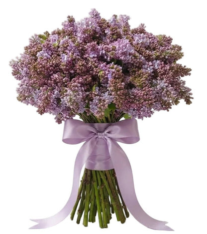 Classic Lilac Bouquet - Florist London