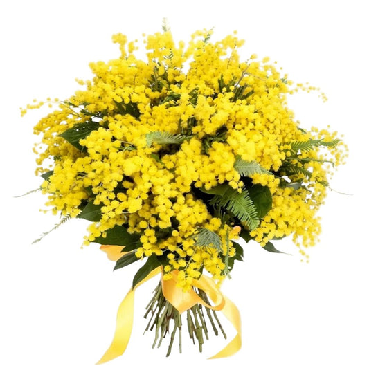 Classic Mimosa Bouquet - Florist London