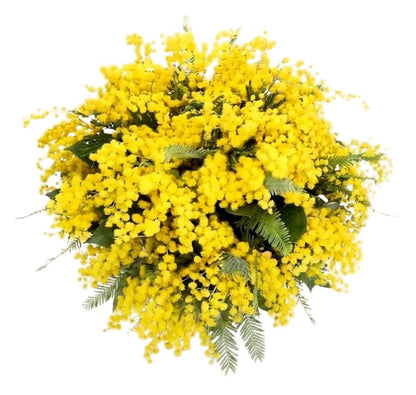 Classic Mimosa Bouquet - Florist London