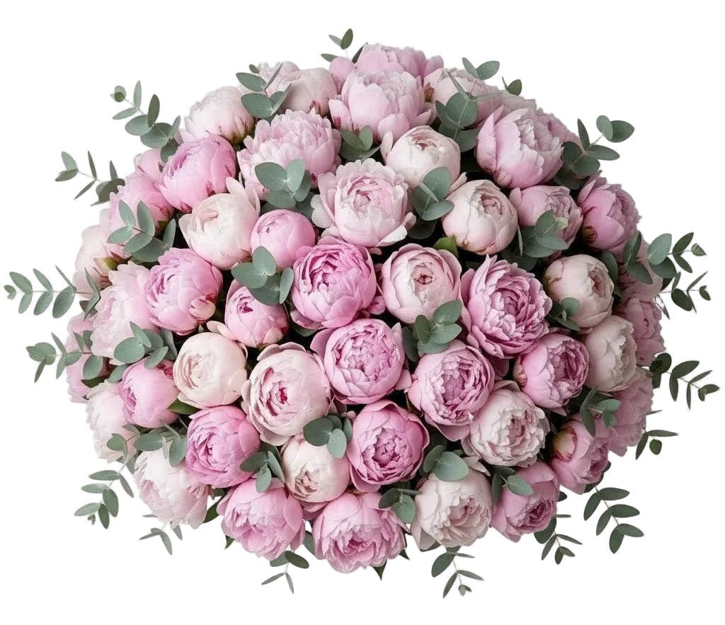 Classic Peonies Bouquet with Eucalyptus - Florist London