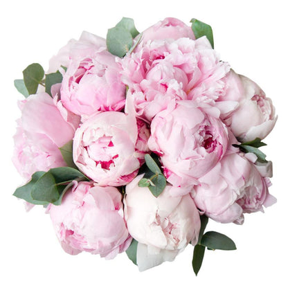 Classic Peonies Bouquet with Eucalyptus - Florist London