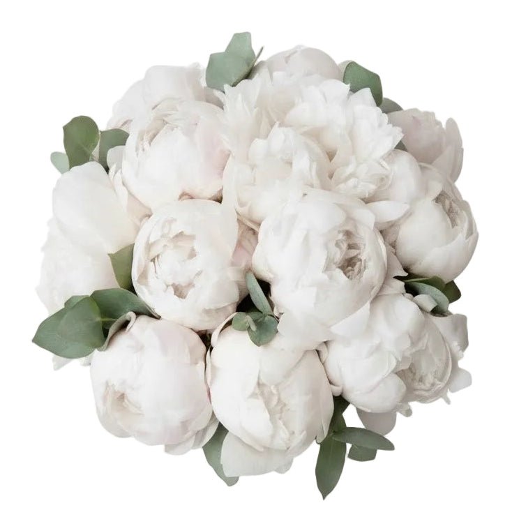Classic Peonies Bouquet with Eucalyptus - Florist London