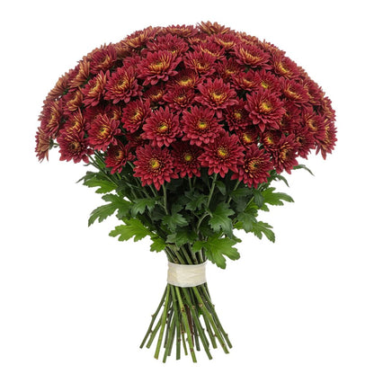 Classic Red Chrysanthemum Bouquet