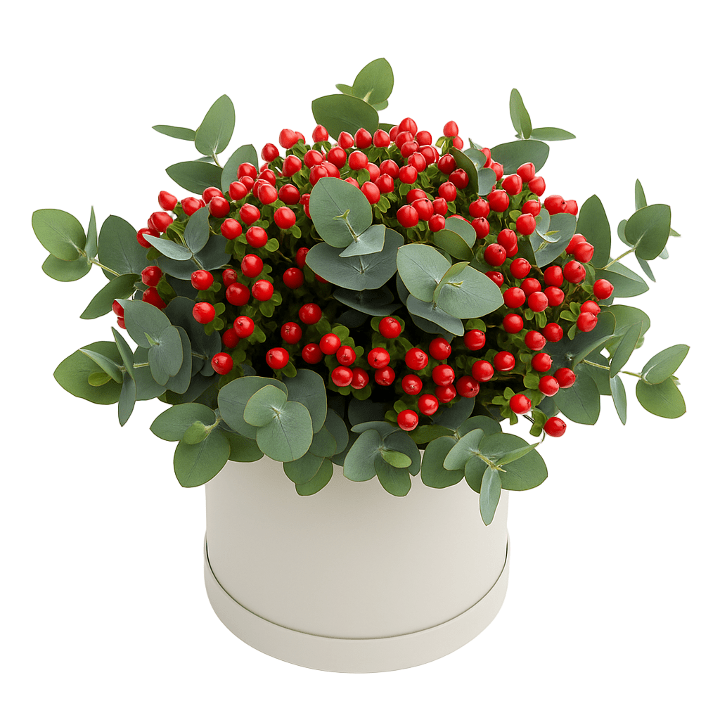 Classic Red Hypericum with Eucalyptus Box Arrangement - Florist London