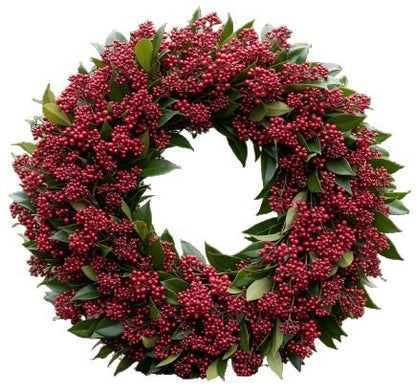Classic Red Skimmia Rubella Door Wreath - Florist London