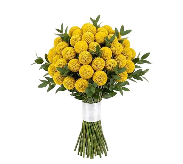 Classic Yellow Craspedia Bouquet - Florist London