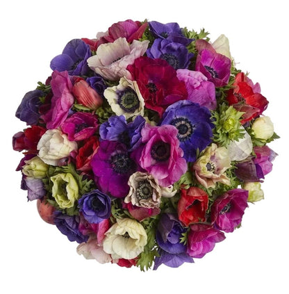 Colored Anemone Bouquet - Florist London