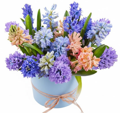 Colorful Hyacinth Box - Florist London