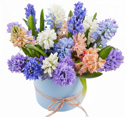 Colorful Hyacinth Box - Florist London