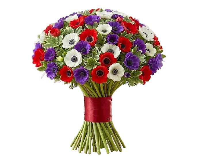 Colourful Anemones Bouquet - Florist London