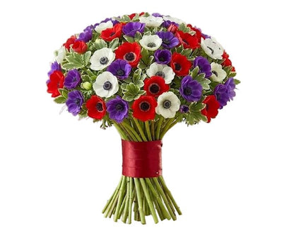 Colourful Anemones Bouquet - Florist London