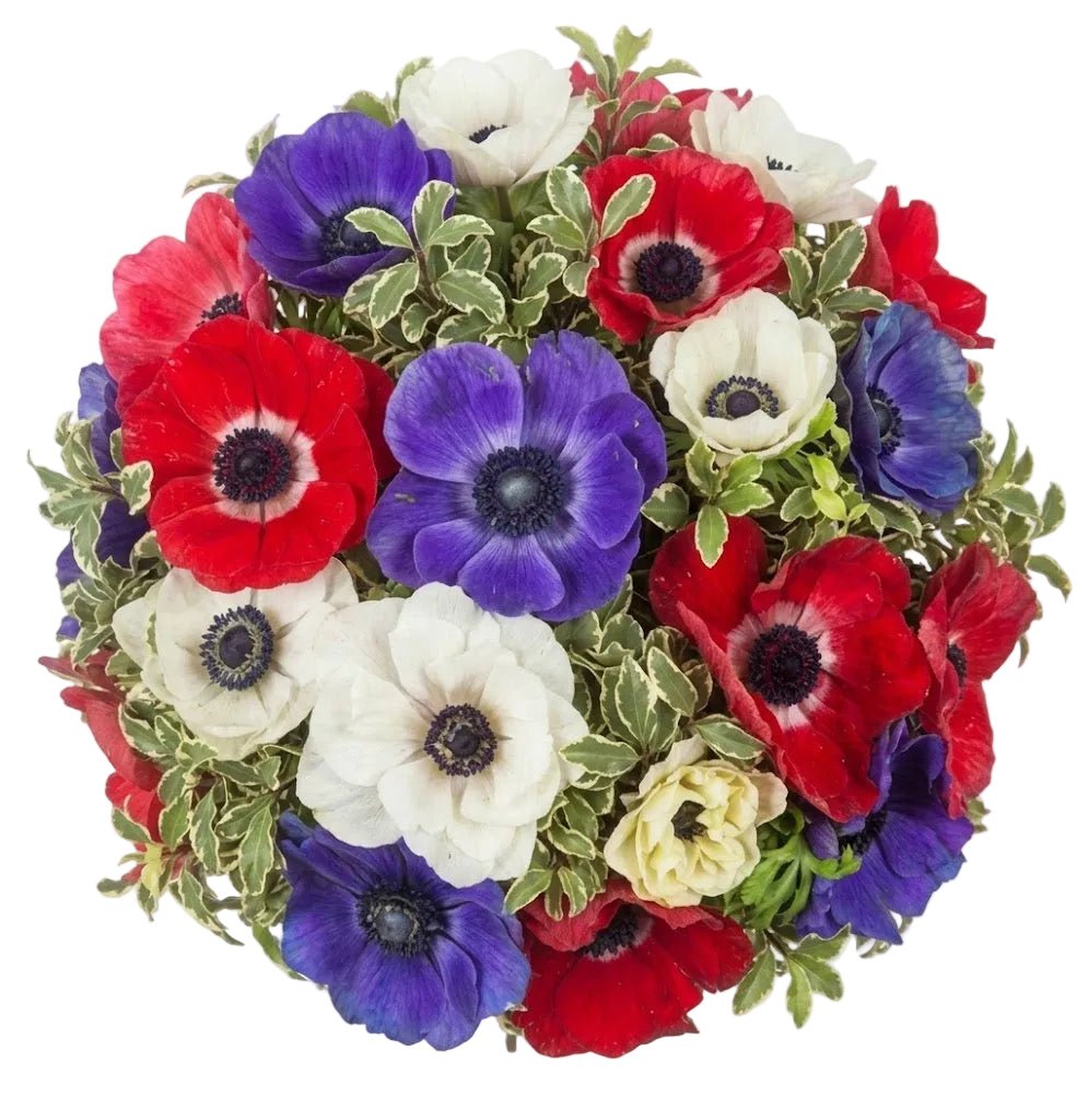 Colourful Anemones Bouquet - Florist London
