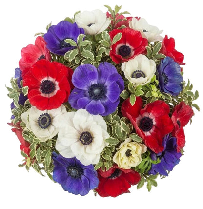 Colourful Anemones Bouquet - Florist London