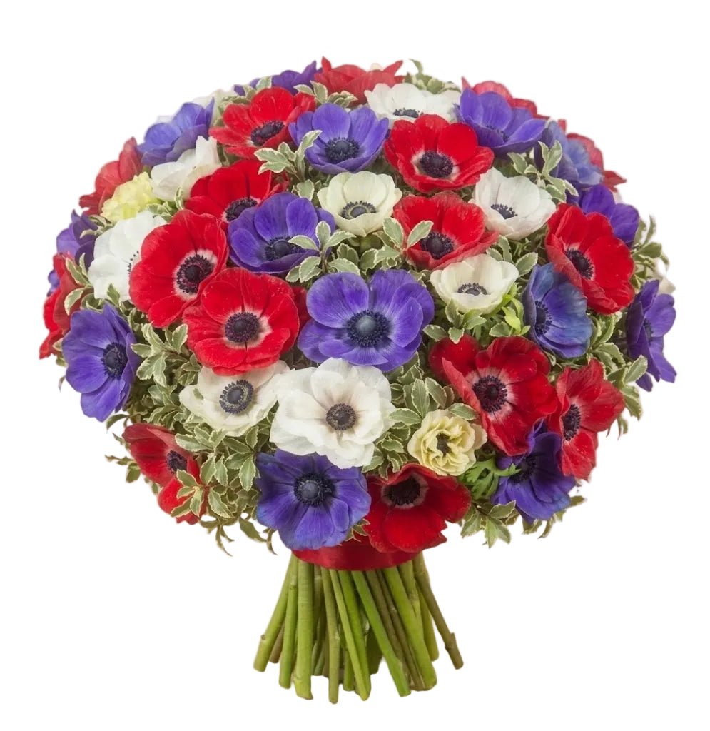 Colourful Anemones Bouquet - Florist London