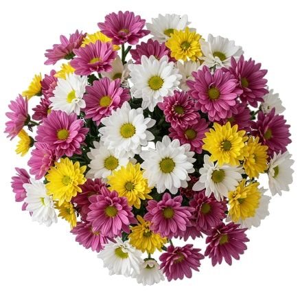 Colourful Chrysanthemum Bouquet - Florist London