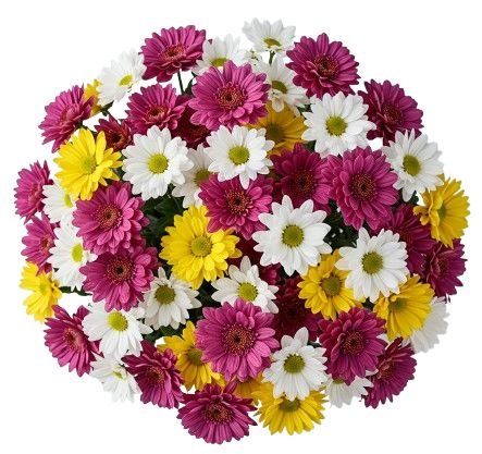 Colourful Chrysanthemum Bouquet - Florist London