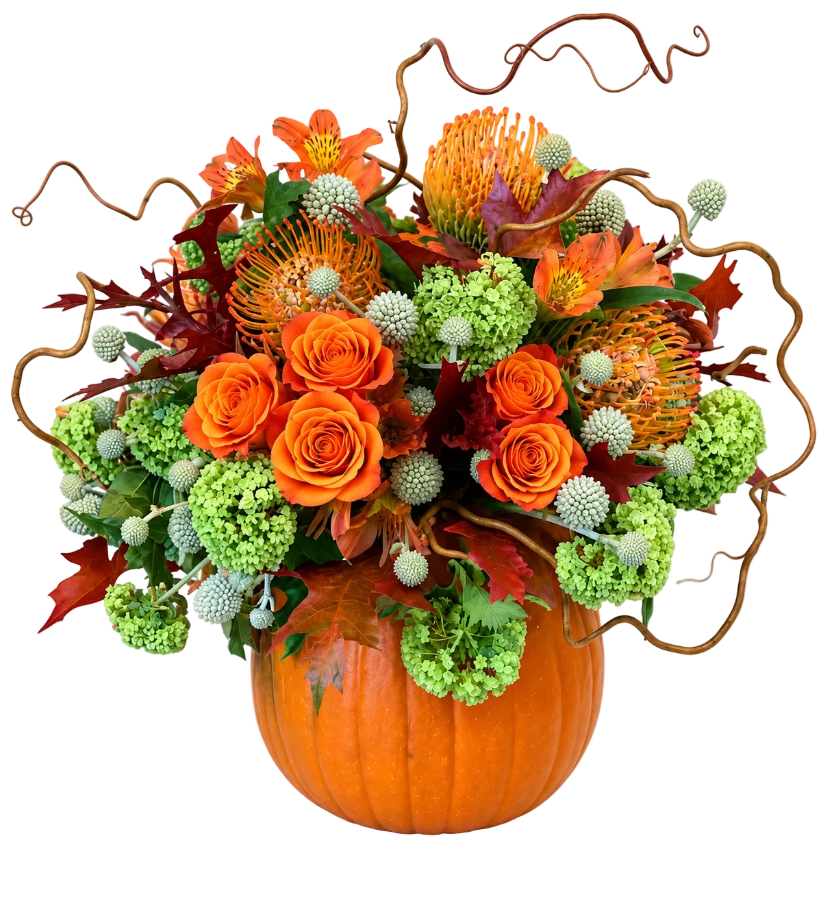 Colourful Pumpkin Arrangement - Florist London