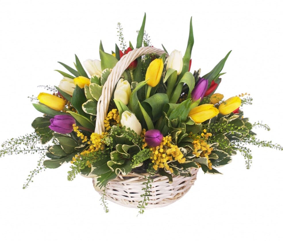 Colourful Tulips and Mimosa Basket - Florist London
