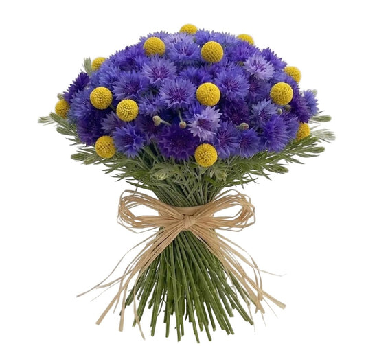 Cornflower with Yellow Craspedia Bouquet - Florist London