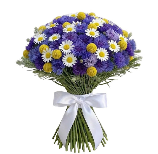 Cornflowers and Daisy with Craspedia Bouquet - Florist London