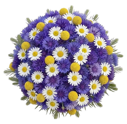 Cornflowers and Daisy with Craspedia Bouquet - Florist London