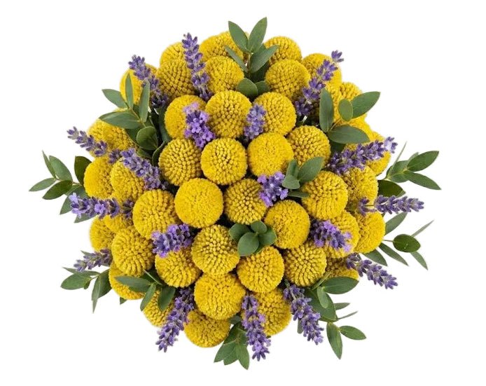 Craspedia with Lavender Bouquet - Florist London