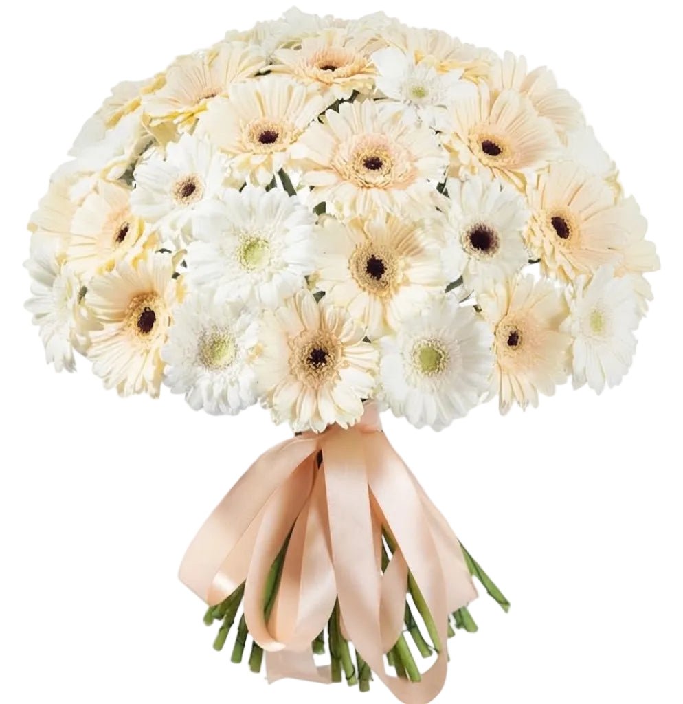 Cream and White Gerbera Bouquet - Florist London