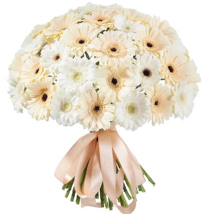 Cream and White Gerbera Bouquet - Florist London