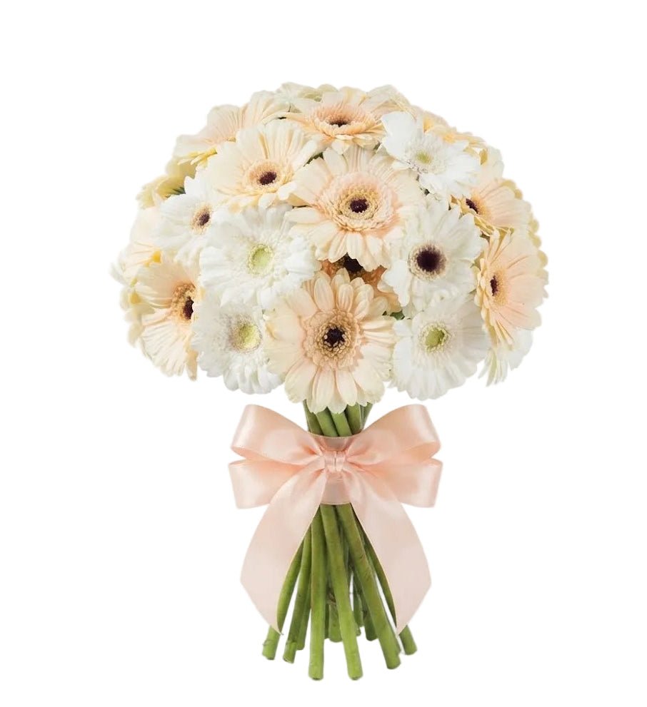 Cream and White Gerbera Bouquet - Florist London