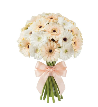 Cream and White Gerbera Bouquet - Florist London