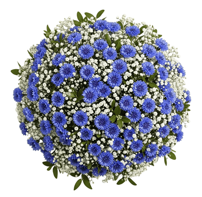 Cute Bouquet of Gypsophila with Cornflower - Florist London