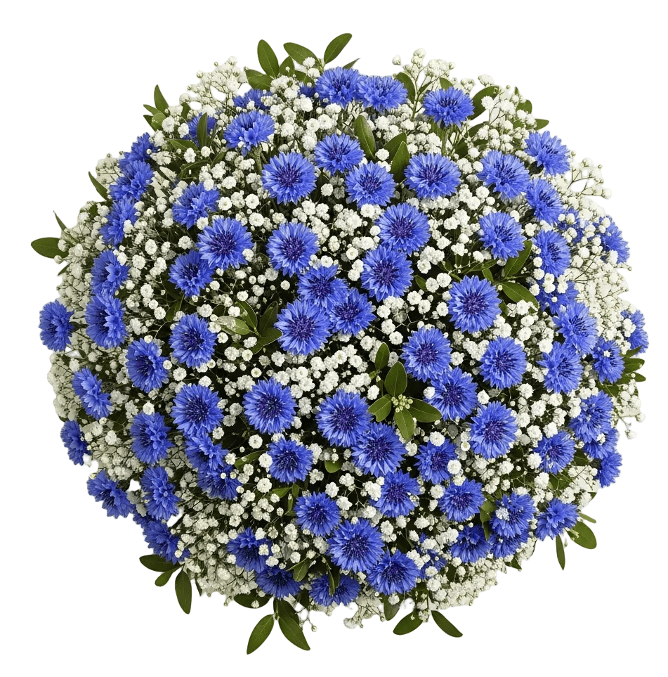 Cute Bouquet of Gypsophila with Cornflower - Florist London