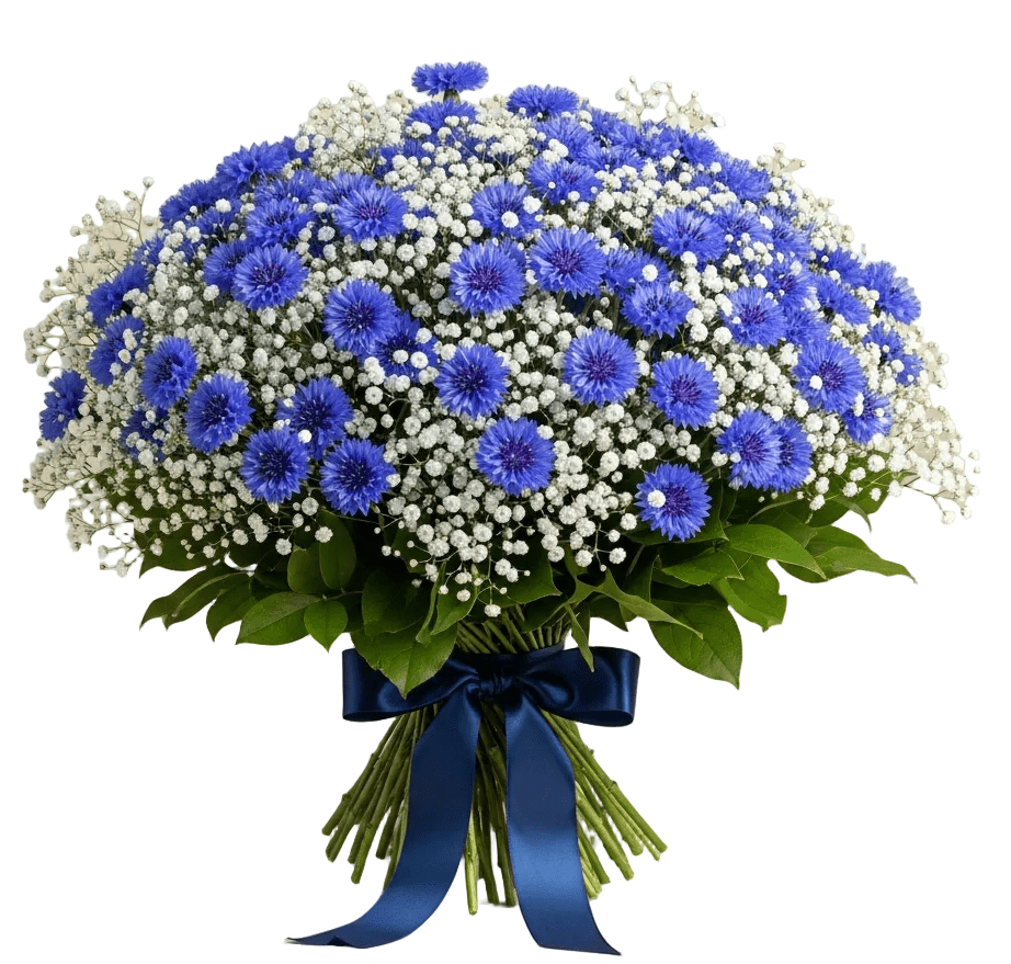 Cute Bouquet of Gypsophila with Cornflower - Florist London